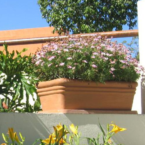 Jardinera imitacion terracotta con plato